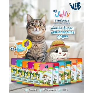 [48ซอง] Felina Canino VIF อาหารแมวเปียกแบบซอง 75g (มี Token)