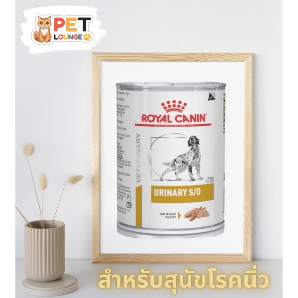 [6 กระป๋อง] Royal Canin Urinary S/O Can 410g อาหารกระป๋องสำหรับสุนัขโรคนิ่วและทางเดินปัสสาวะ