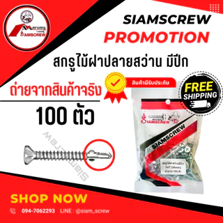 สกรูยิงไม้ฝาและเชิงชาย หัวคว้าน หัวจม (100ตัว)