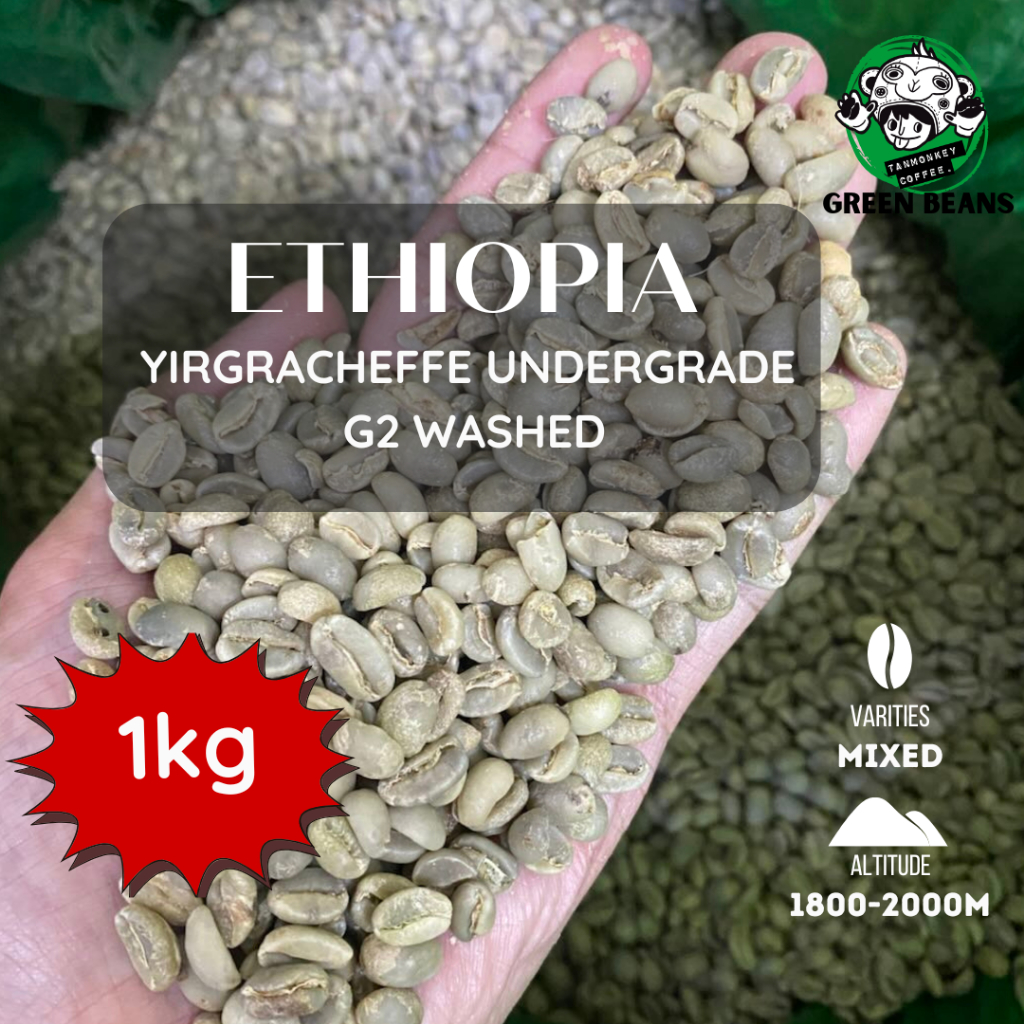 สารเมล็ดกาแฟ Ethiopia yirgracheffe undergrade G2 washed ขนาด 1000g