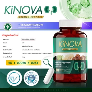ผลิตภัณฑ์เสริมอาหาร คิโนว่า Kinova ดูแลสุขภาพไต