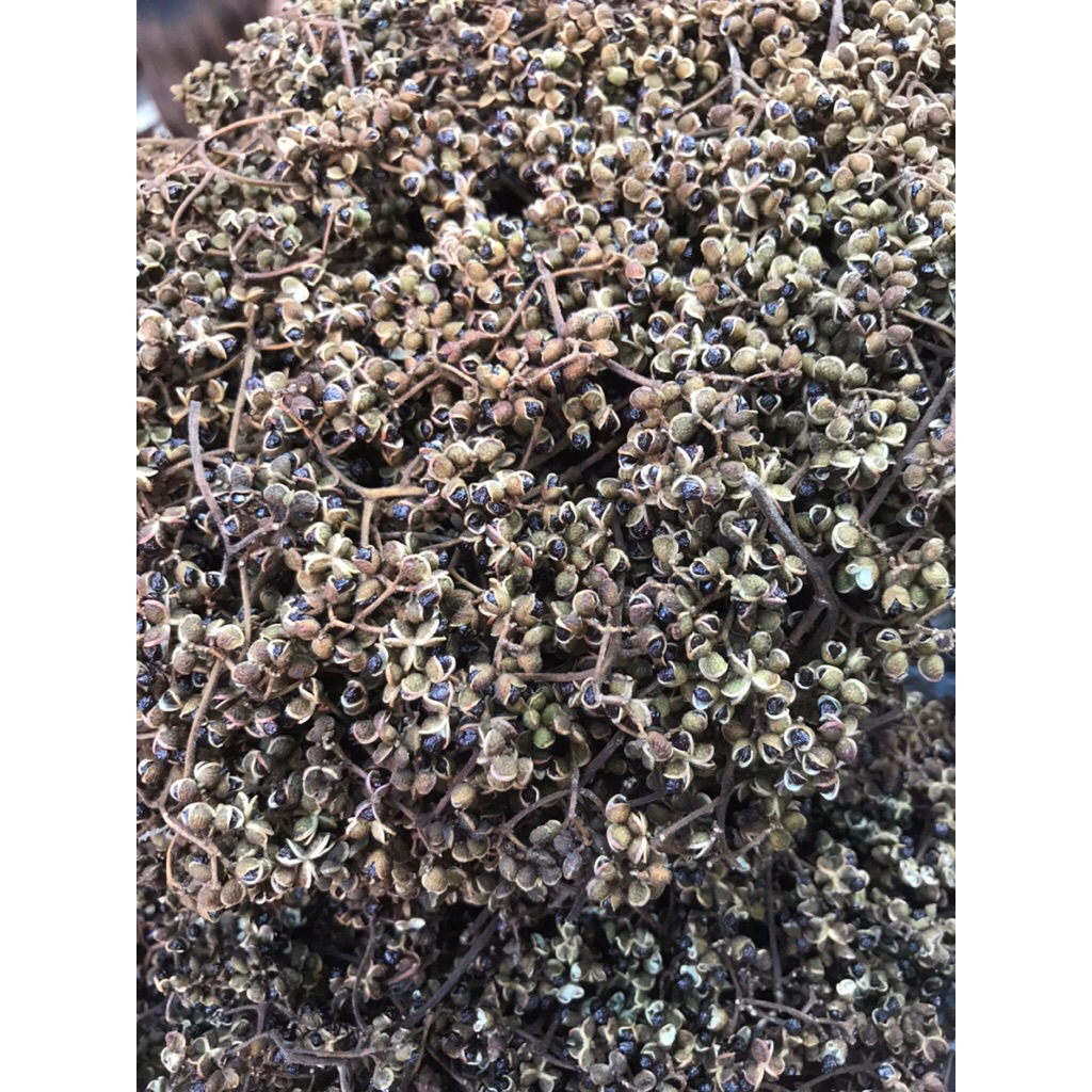 [1 แผง 6 ห่อ] มะแขว่นหอม Makhwaen ลูกระมาศ เมืองน่าน  **สินค้าออกตามฤดูกาลเก็บผลผลิตเดือนพฤศจิกายน 2567** แบบแผง - รูปที่ 6