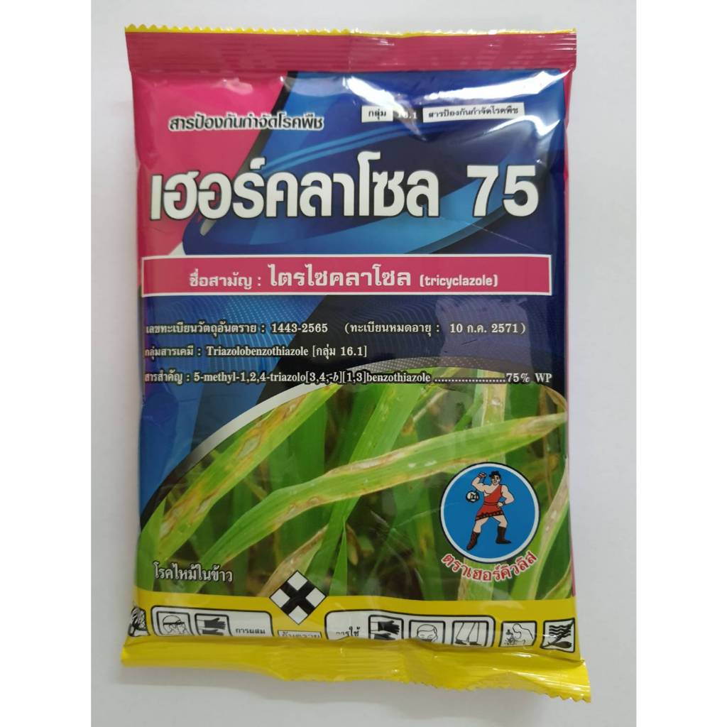 เฮอร์คลาโซล75 ขนาด 1 กิโล ไตรไซคลาโซล โรคใบไหม้ โรคใบจุด สารป้องกันและกำจัดโรคพืช เชื้อรา  ใบไหม้  บีม75 ไตรโคลเดอร์มา ราคา ถูกที่สุด ดีลบีเคเค แกลเลอรีภาพที่ 2