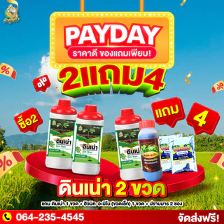 โปรพิเศษ [ดินเน่า 3 ขวด แถมฮิวมิค1ขวด+ฟอสเฟต 2ซอง] บำรุงดินเติมสารอาหาร ดินเน่า