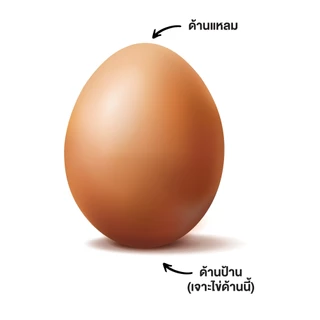 SEVERIN เครื่องต้มไข่ 6 ฟอง พร้อมระบบตั้งเวลา รุ่น SEV-3166