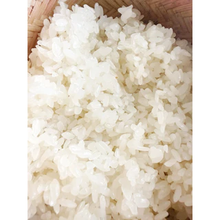 ข้าวสาร ข้าวเหนียวพันธุ์ไก่น้อย ขนาด 1 กก.
