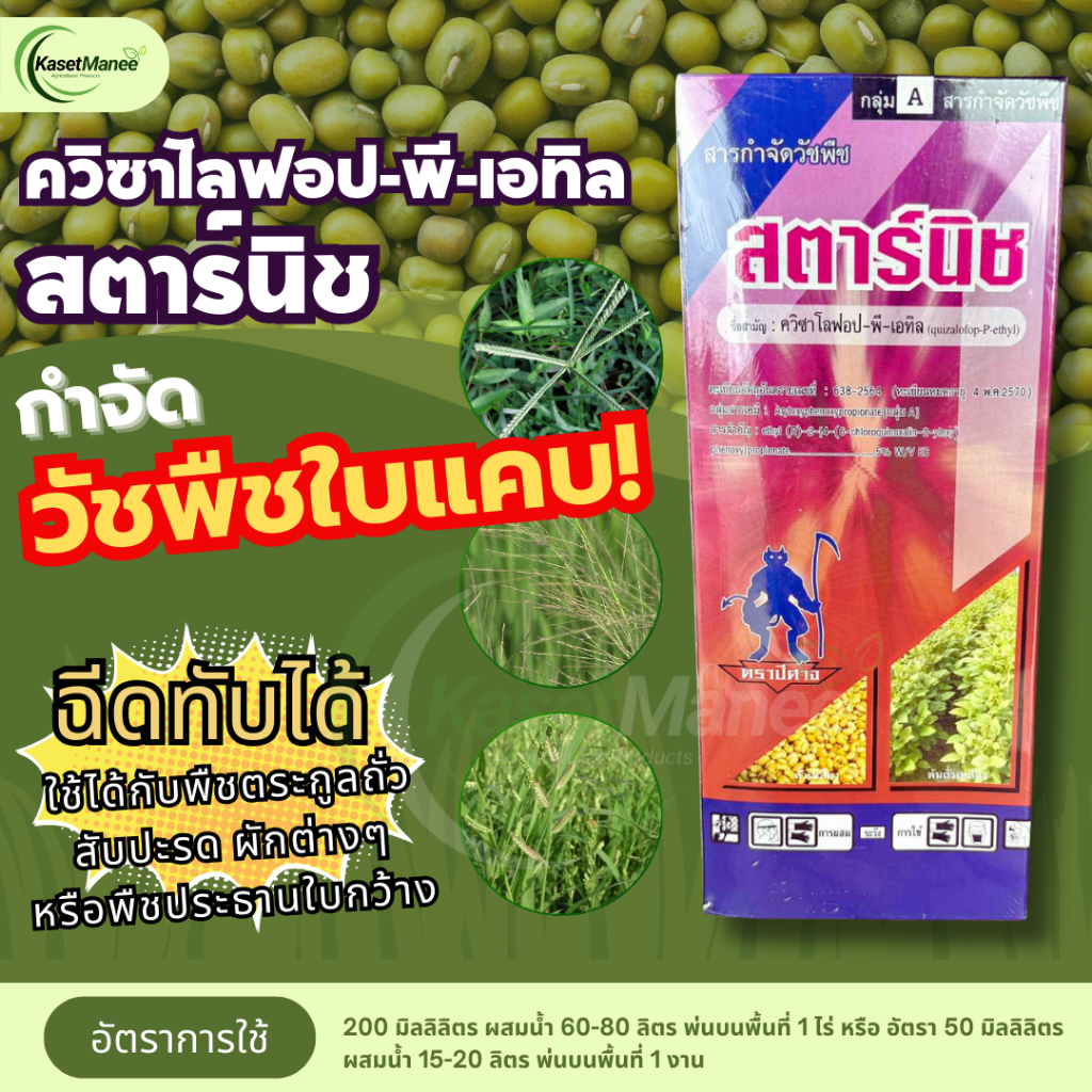 สตาร์นิช ควิซาโลฟอป-พี-เอทิล สารกำจัดวัชพืชใบแคบทุกชนิด ปลอดภัยต่อพืชใบกว้างอย่างผัก ถั่ว และมันสำปะหลัง เช่น หญ้าข้าวนก