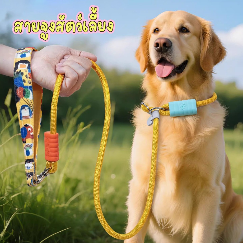 สายจูงสัตว์เลี้ยง พร้อมสายคล้องคอ ที่จับ สายจูงหมา ครบจบในเส้นเดียว ยาว1.5ม. หนา1ซม.