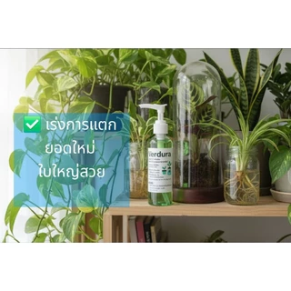 Verdura สารอาหารพืชสูตรเข้มข้น ปุ๋ยน้ำต้นไม้ สำหรับไม้ใบ ไม้อวบน้ำ ไม้สะสม ไฮโดรโปนิกส์