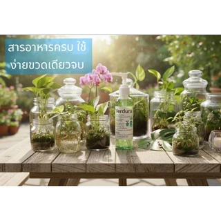 Verdura สารอาหารพืชสูตรเข้มข้น ปุ๋ยน้ำต้นไม้ สำหรับไม้ใบ ไม้อวบน้ำ ไม้สะสม ไฮโดรโปนิกส์