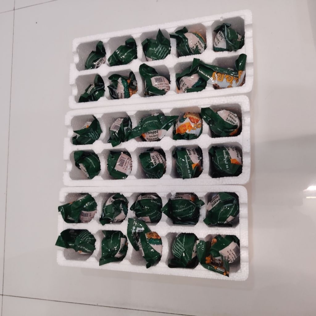 ขายลูกอ่อนระยะ 2 ไข่เป็ดเวียดนาม สุขแล้วพร้อมทาน อาหารสำเร็จรูป - รูปที่ 4