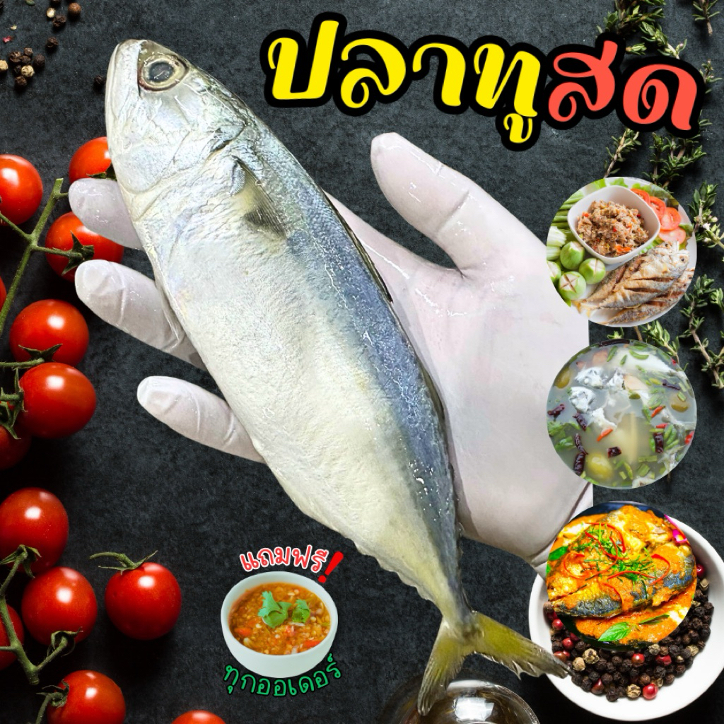‼️ปลาทูสดไซส์จัมโบ้+ฟรีน้ำจิ้ม‼️ (มีหลายไซส์ให้เลือก) 🐟 สด สะอาด เนื้อแน่น พร้อมส่งทั่วไทย 🛺