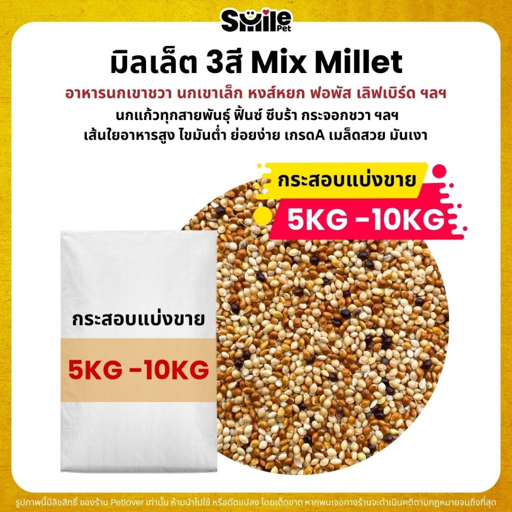 (5KG/10KG) มิลเล็ต 3สี Mix Millet เกรด A อาหารนกเขาเล็ก นกแก้ว และสัตว์ฟันแทะ ใหม่ สด สะอาด ร่อนฝุ่น – โปรปัง