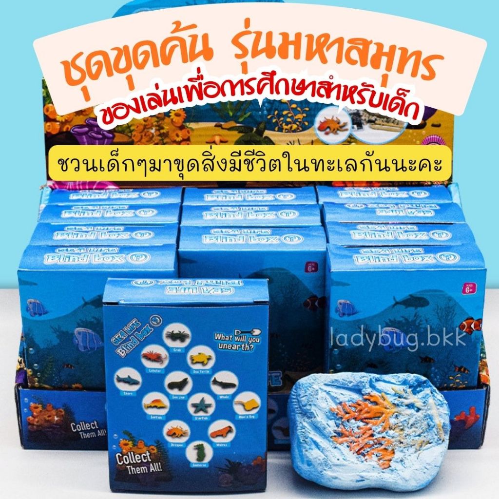 Ladybug ชุดขุดฟอสซิลสัตว์ทะเล ชุดขุดปลาทะเล ของเล่นเด็ก