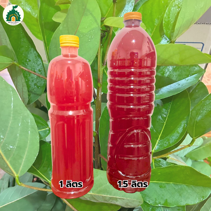 น้ำหมักใบทองหลางน้ำ สูตร 1 (Rhodobacter Capsulatus) หัวเชื้อน้ำหมักใบทองหลางน้ำก้านแดง