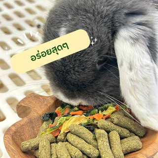 veggie party ผักรวมอบกรอบ🥕🥬