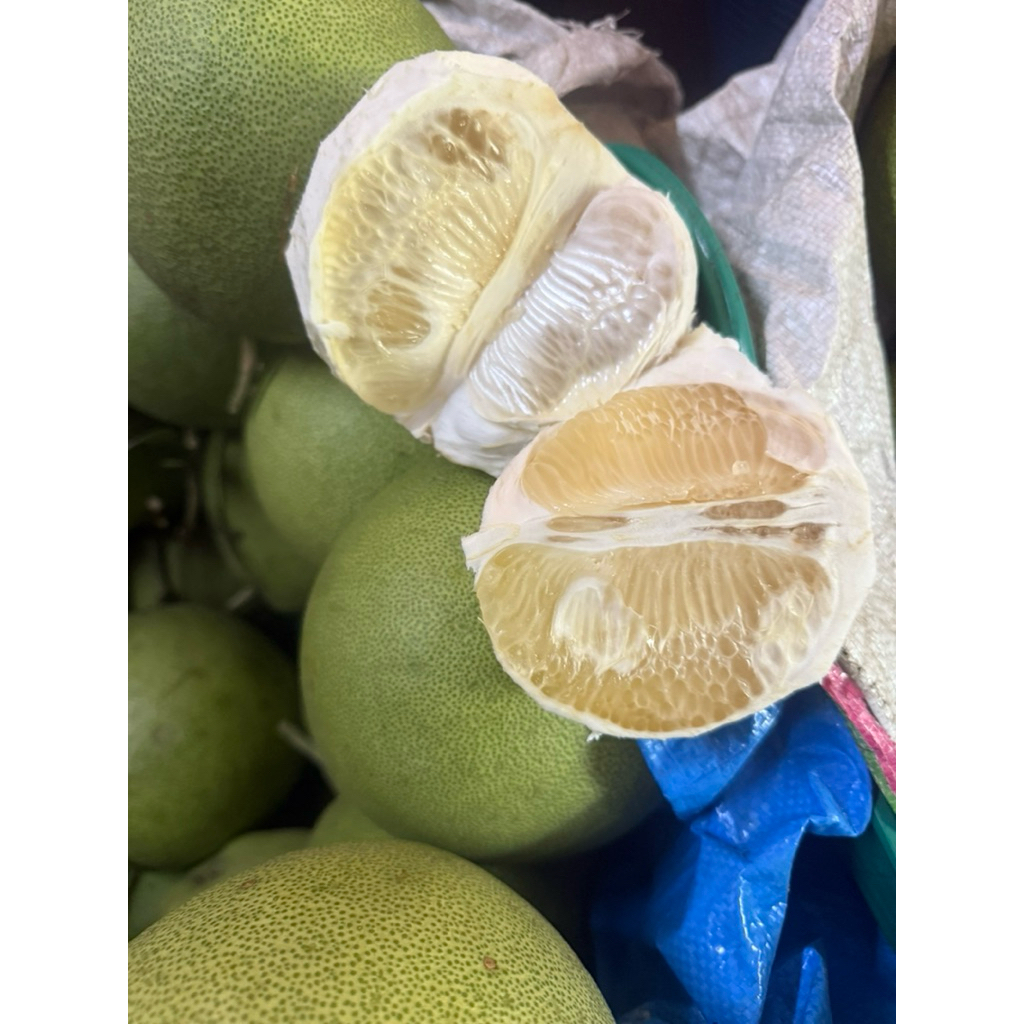 ส้มโอพันธุ์🍐ขาวน้ำผึ้ง(1.2-1.4กก./120)🚩จัดโปร5ลูก=500- 💁🏻‍♀️อัปเดต27ธค.68หวาน70%📌ร้านเจ๊หมวยส้มโอตลาดน้ำดอนหวาย