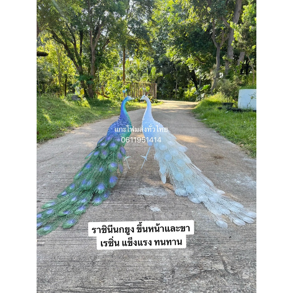 ราชินีนกยูง #นกยูง ขึ้นหน้าและขาเรซิ่น มี3ไซส์ S M Lราคาต่อตัว