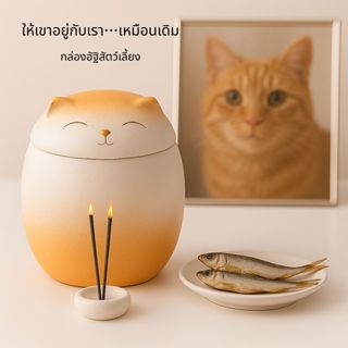 โกศสัตว์เลี้ยงรูปแมว แมวรูปเซรามิก สำหรับขี้เถ้า โกศเก็บกระด…