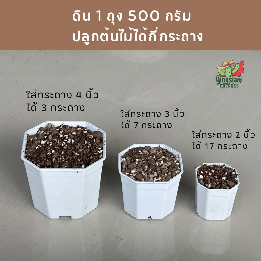 ดินกระบองเพชร 500 กรัม ฟรีของแถม 3 อย่าง!! ดินแคคตัส ดินcactus - รูปที่ 5