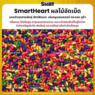 SmartHeart ผลไม้อัดเม็ด สำหรับนกแก้ว และสัตว์ฟันแทะทุกชนิด (แบ่งขาย 250G / 500G / 1KG)