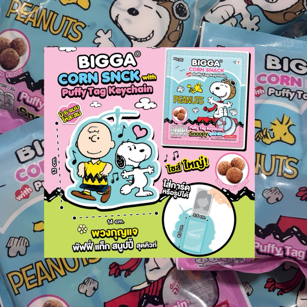 เฟรมการ์ดสนูปปี้ พวงกุญแจสนูปปี้ snoopy