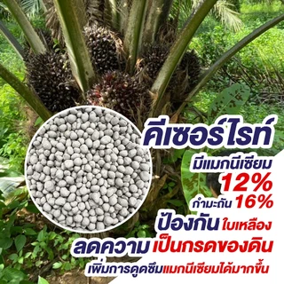 คีเซอร์ไรท์ แมกนีเซียมซัลเฟต 25 กก. ชนิดเม็ดหว่านทางดินเท่านั้น สำหรับพืชตระกูลปาล์ม และมะพร้าว