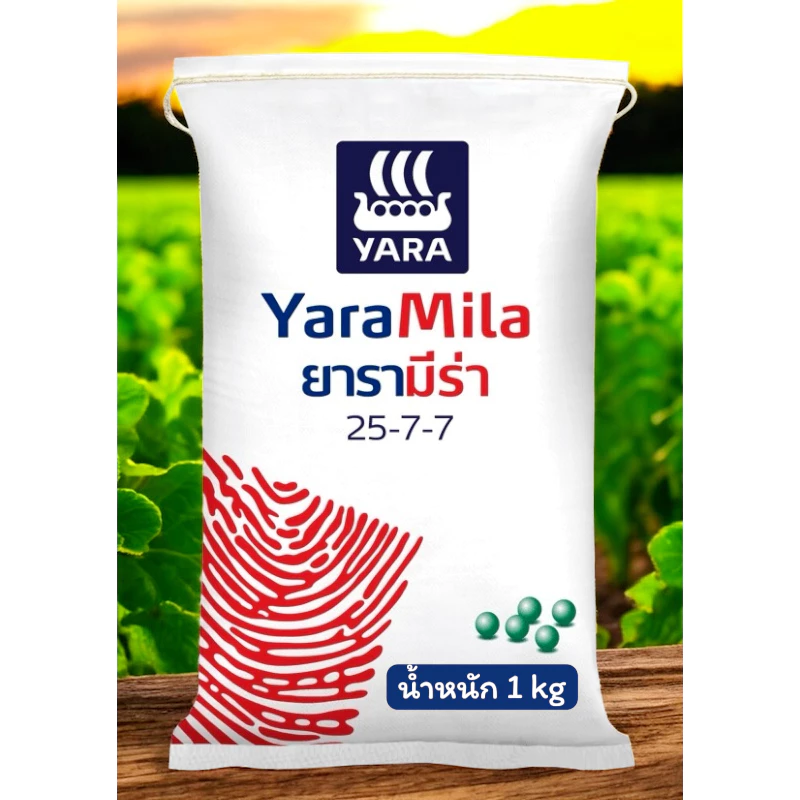 ปุ๋ยยารามีร่า ขนาด 1 กิโลกรัม สูตร 25-7-7 : ปุ๋ยเร่งต้น ปุ๋ยเร่งใบ เร่งเขียว เร่งการแตกยอด รากเเข็งเเรง เร่งการเจริญเติบ