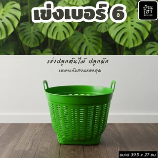 ยกโหล 12 ใบ เข่งพลาสติก เข่งเบอร์ 6 เข่งผลไม้ เข่งปลูกต้นไม้ #เบอร์6