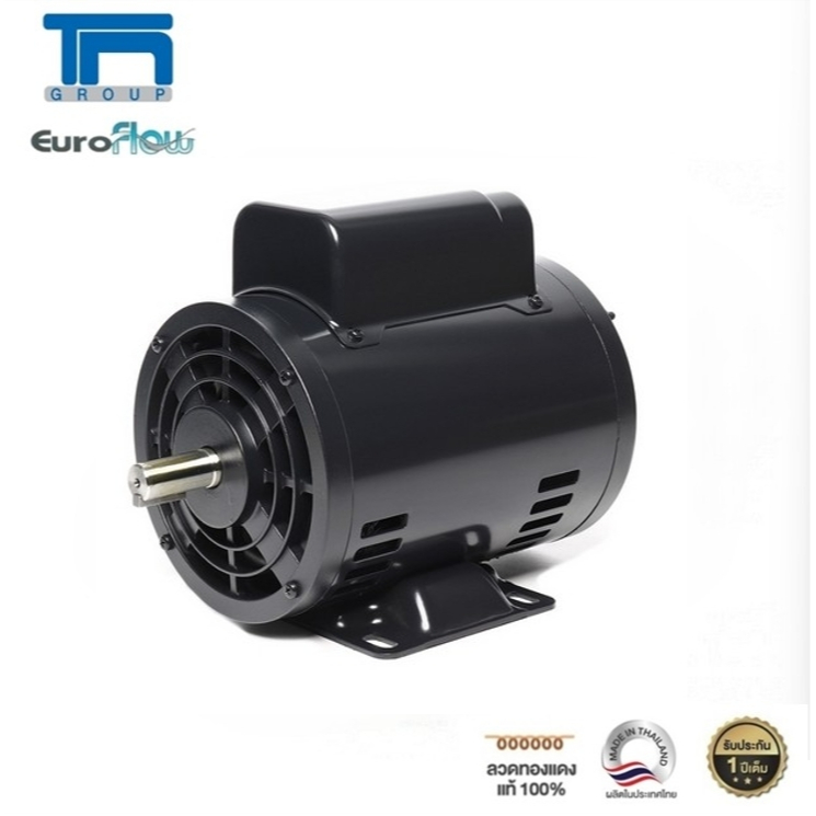 มอเตอร์ปั๊มลม Euroflow รุ่น SC-RS 1HP 4P FT 220V (G2) เพลา 19 มิล (เหมาะกับงานฉุดสายพาน)