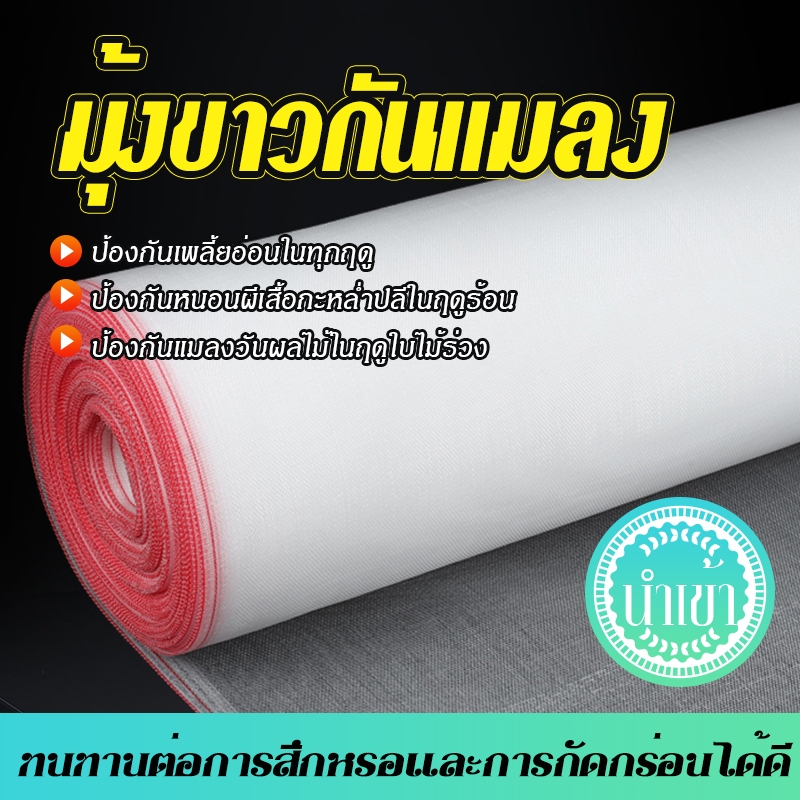 มุ้งขาวกันแมลง มุ้งขาวกันแมลงมุ้งกันแมลงผัก มุ้งกันแมลงมุ้งขาวกันแมลงตาข่ายกันแมลงมุ้งโรงเรือนตาข่ายไนล่อนมุ้งปลูกผักมุ้ – โปรปัง
