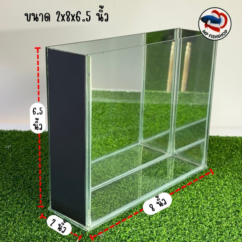 โหลกระจกเงา 3 ด้าน สำหรับถ่ายรูปปลากัด ขนาด 2x8x6.5 นิ้ว