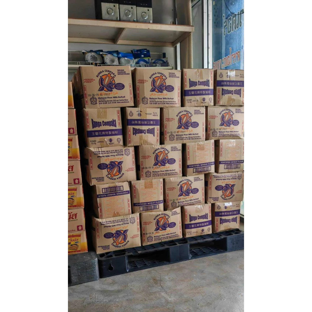 แป้งดอกจำปา ยกลัง 10 ถุง 10 kg +แเมส 10 ชิ้น แป้งสาลีเอนกประสงค์ณ