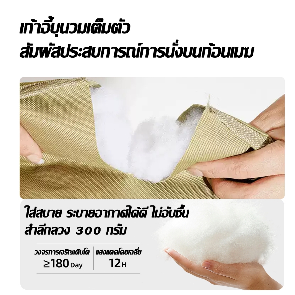 รูปภาพ 6