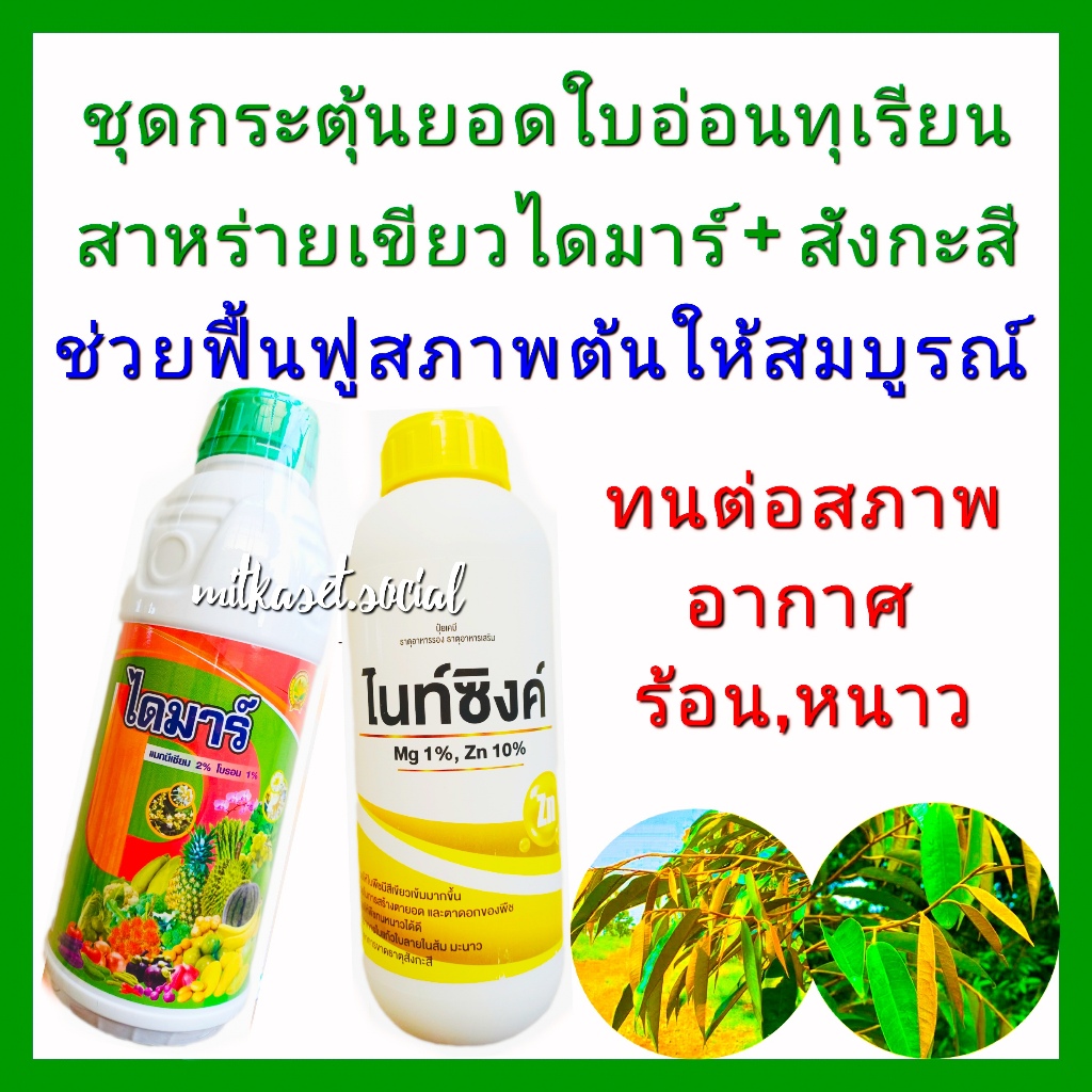 กระตุ้นยอดใบอ่อนทุเรียน + สังกะสี ซิงค์ ปุ๋ยทุเรียน อาหารเสริมพืช สาหร่าย ไดมาร์ 1ลิตร+ สังกะสี10% 1ลิตร ฟื้นฟูสภาพต้น