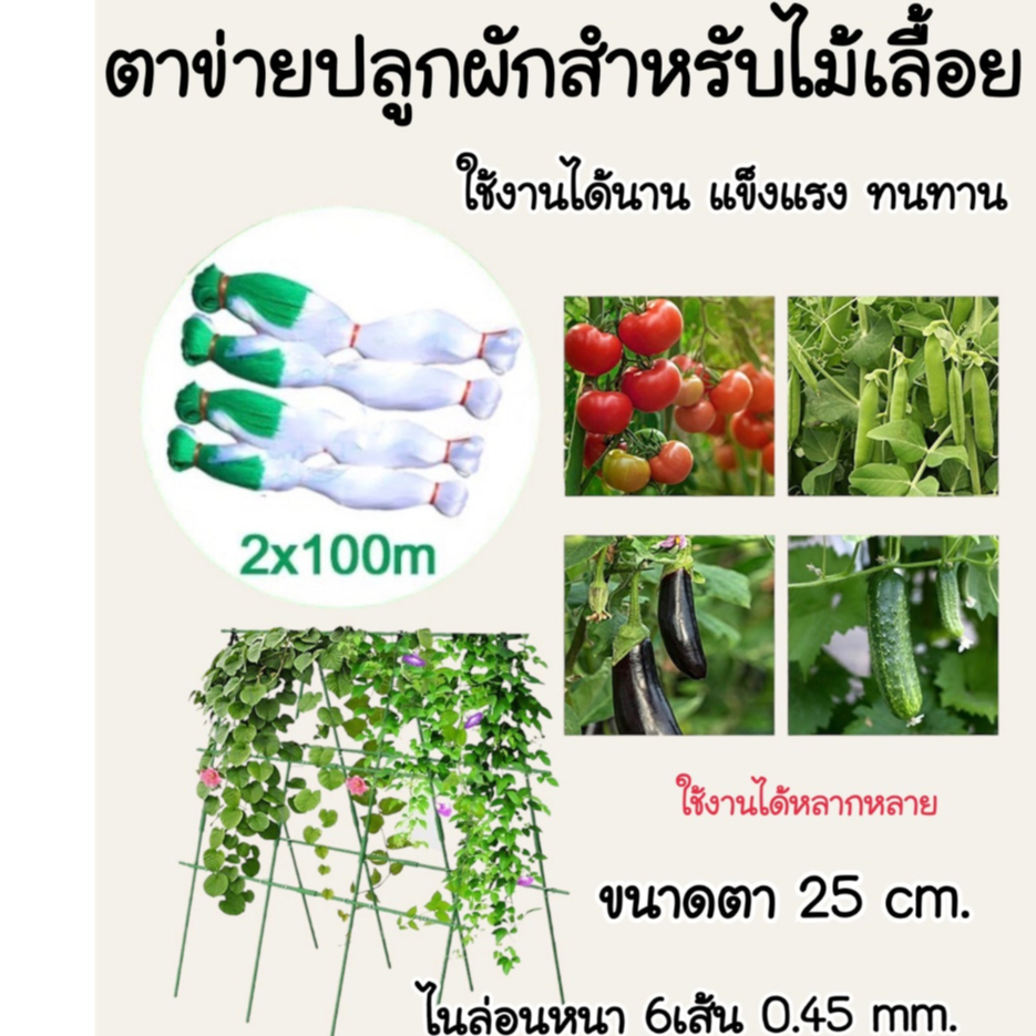 ✨New✨ตาข่ายปลูกผัก หนา6เส้น อวนแตง ตะข่ายไนลอน ค้างผัก ต้นไม้เลื้อยตาข่ายไนล่อน ตาข่ายแตงกวา ตาข่ายปลูกถั่ว #PG04