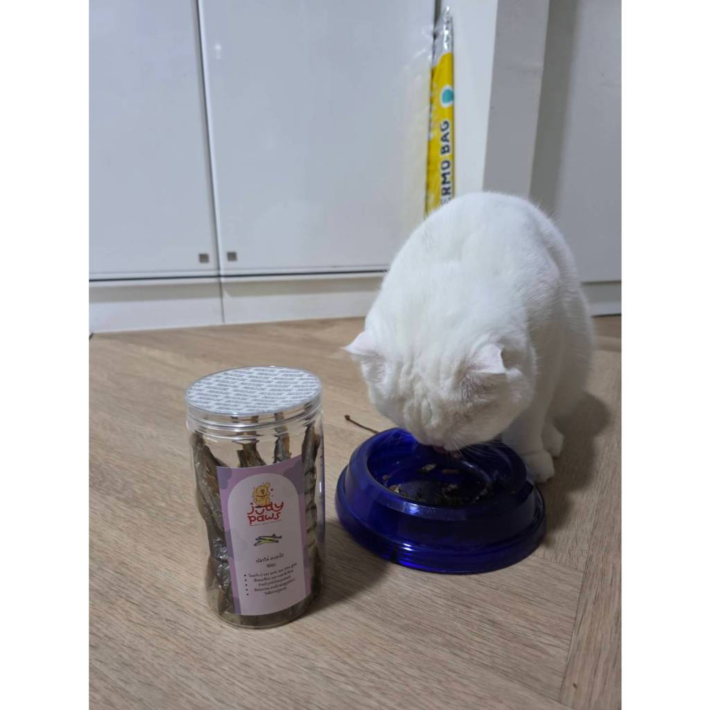 ปลาไข่อบแห้ง 80 กรัม ขนมสุนัข แมว JudyPaws Dried Capelin Fish 80g. ราคา ถูกที่สุด ดีลบีเคเค แกลเลอรีภาพที่ 5