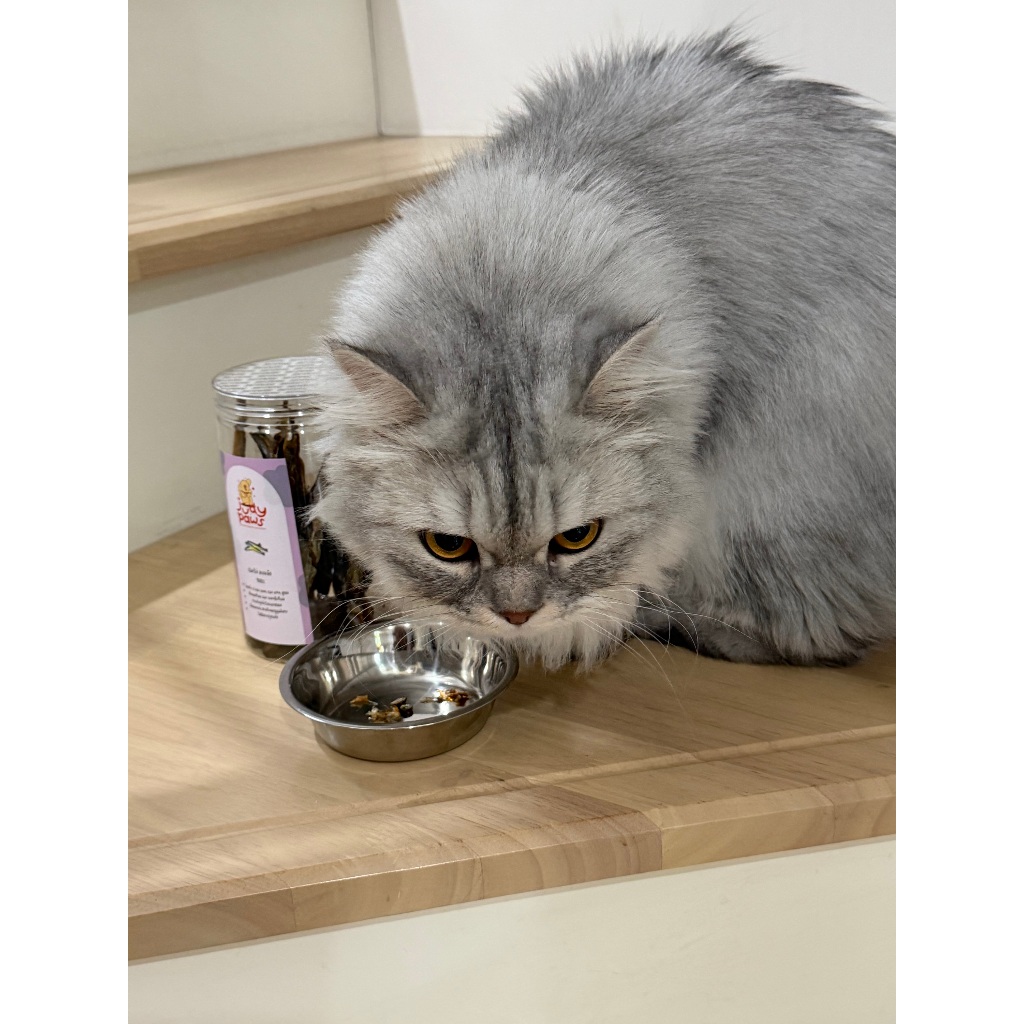 ปลาไข่อบแห้ง 80 กรัม ขนมสุนัข แมว JudyPaws Dried Capelin Fish 80g. ราคา ถูกที่สุด ดีลบีเคเค แกลเลอรีภาพที่ 6