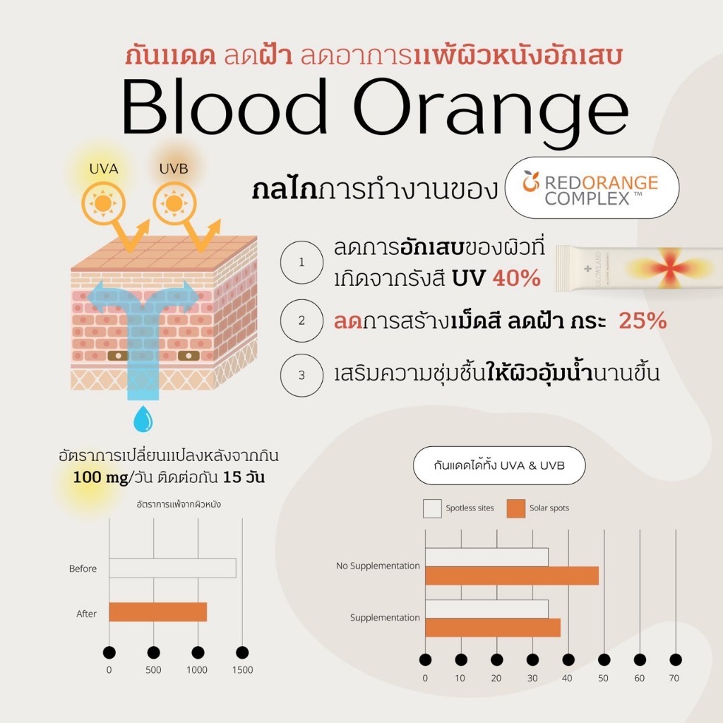 Glowland สูตรใหม่ กล่องใหญ่ [พร้อมส่ง] วิตามินบำรุงผิว วิตามินอาหารผิว millimolie โกลว์แลน - รูปที่ 5