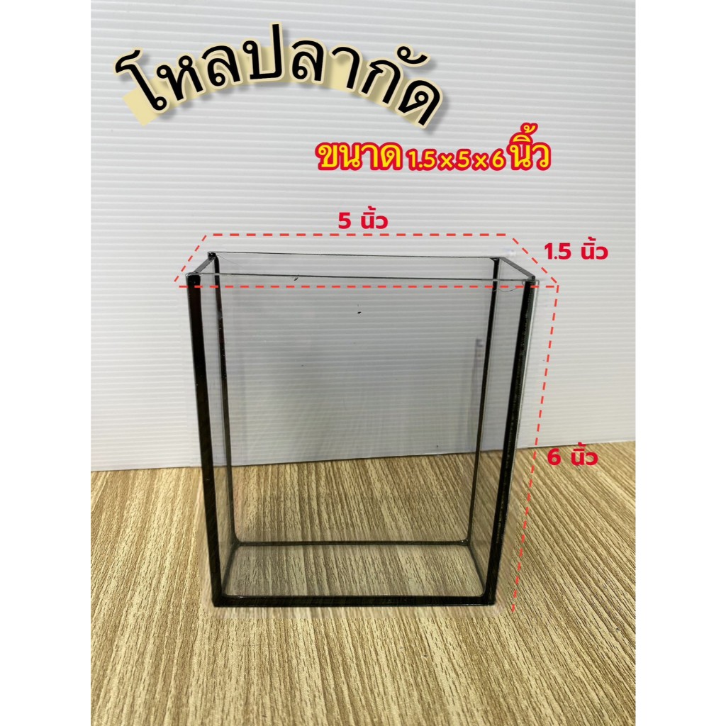 โหลโชว์ ปลากัด โหลถ่ายรูป ขนาด 1"x5"x6" (โหลชุด 3 ใบ )