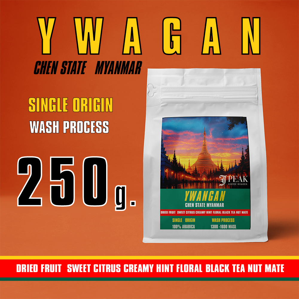 Myanmar Ywangan Shan State 250 g.Single Origin 100% ARABICA