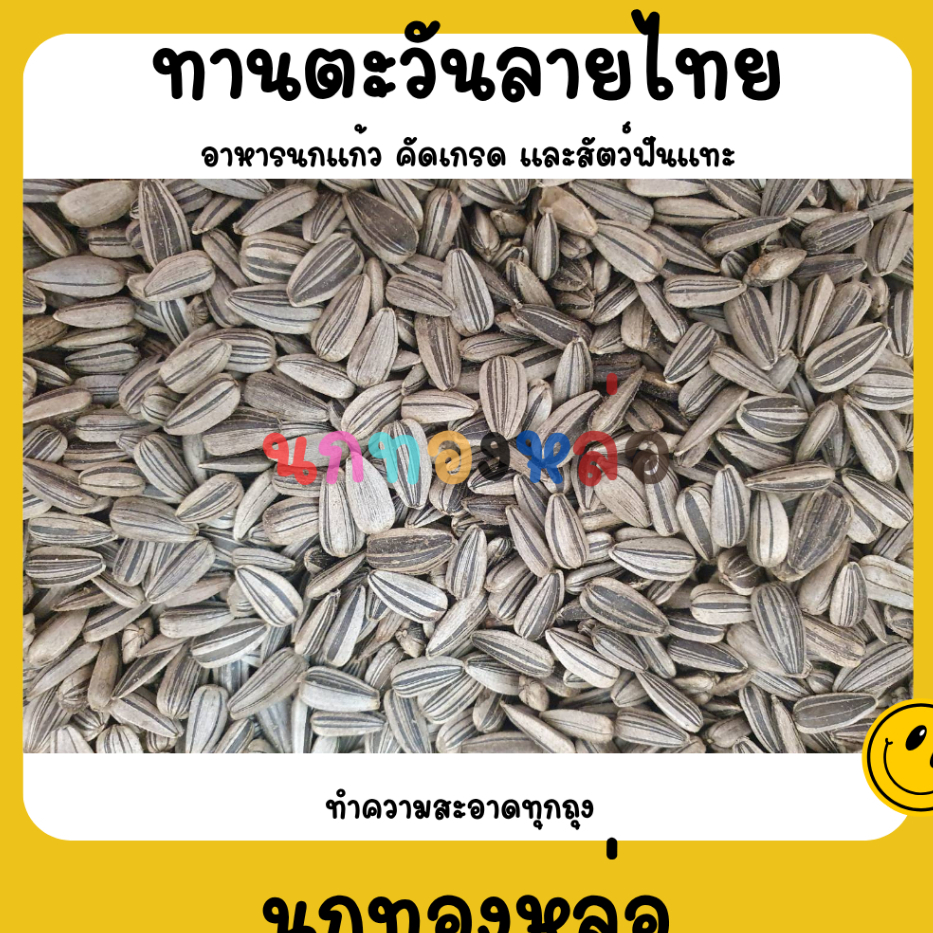 ทานตะวันนกแก้ว *เล็ก*ขนาด 1Kg. ธัญพืช อาหารนก อาหารนกเล็ก เลิฟเบิร์ด หงหยก ฟอพัส อาหารนกแก้ว ธัญพืชนก
