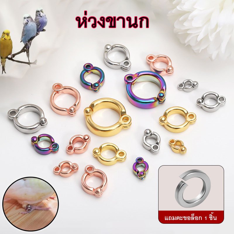 coralcoveshop ห่วงขานก วงขานกแบบล็อกได้ สังกะสีอัลลอยด์