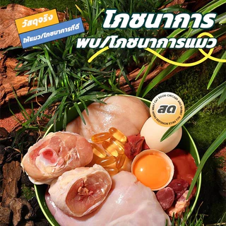 ขนมแมวเลีย 15g มี3รสชาติ เนื้อละเอียดไม่ต้องเคี้ยว รสไก่/รสปลาคอด/รสทูน่า