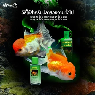 Diamond มาลาไคท์ จัดการน้ำในตู้ปลาเมื่อเปลี่ยนน้ำใหม่ เคลื่อนย้ายปลา สำหรับปลาสวยงาม ช่วยให้การดูแลปลาของคุณง่ายขึ้น