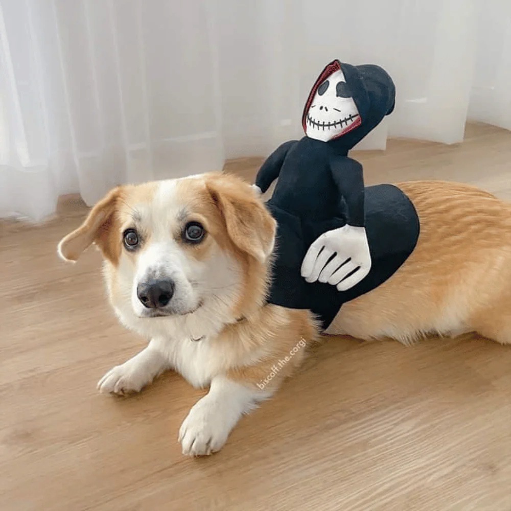 ชุดฮาโลวีนหมาแมว กลาง ใหญ่ Grim Reaper ผีเก็บวิญญาณ คอสตูมสัตว์เลี้ยง Halloween Cosplay Dog Costume