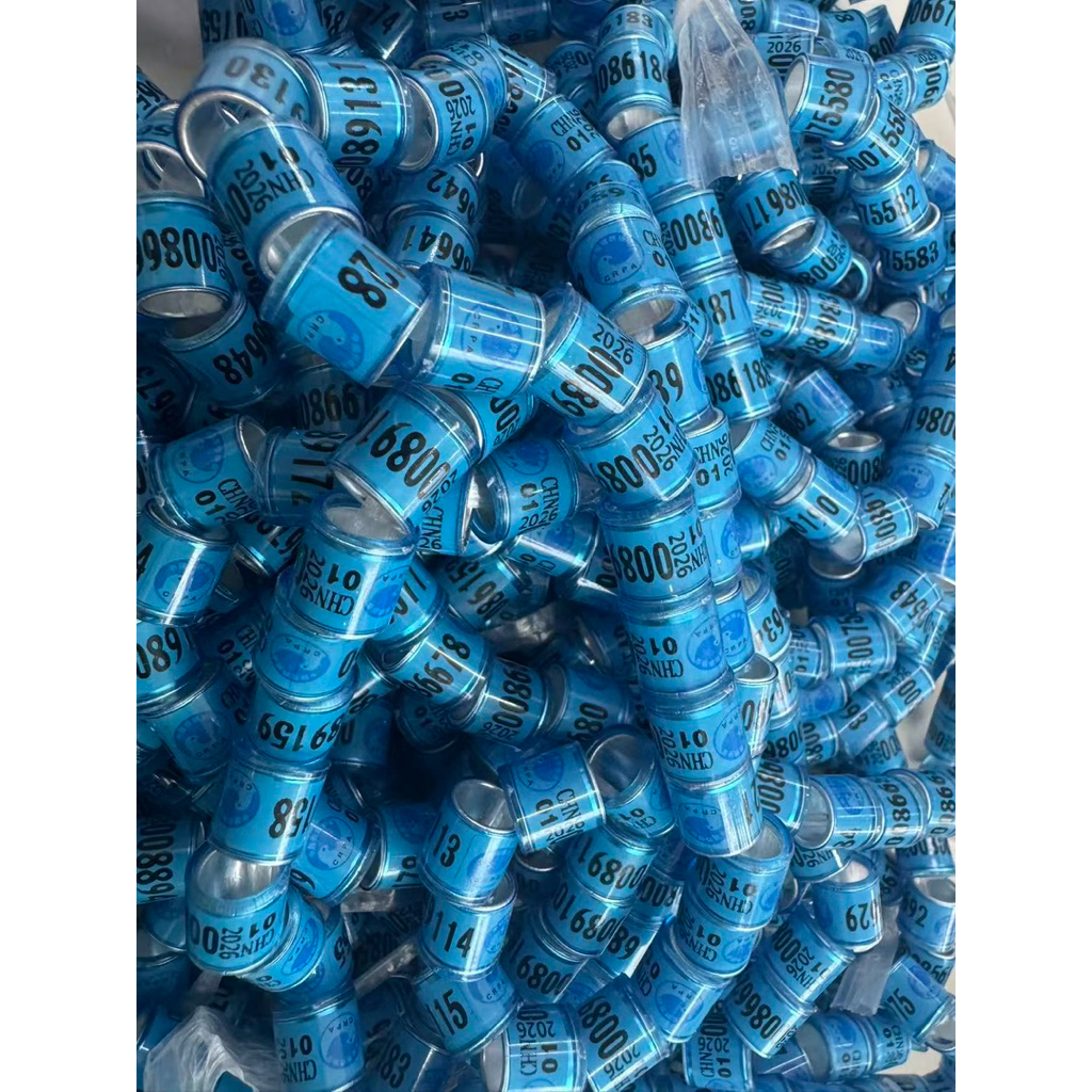ห่วงนกพิราบขนาด9mmสินต้ค้าพร้อมส่งในไทย🇹🇭 ห่วงนกพิราบขนาด9mmสินค้าพร้อมส่งในไทยห่วงละ6บาท(ห่วงปี2026)