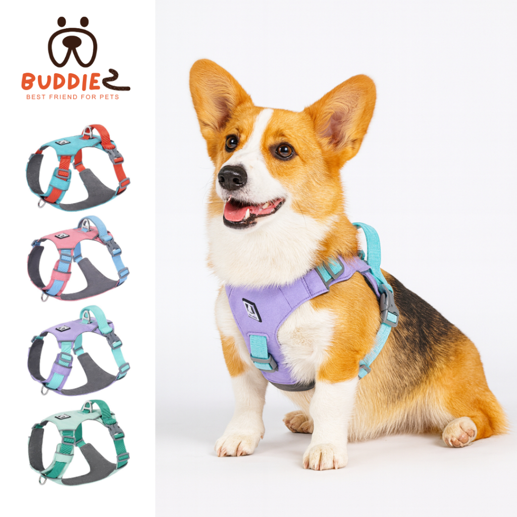 สายรัดอกน้องหมาน้องแมว Buddiez: ปลอดภัย สบาย ทนทาน ปรับขนาดง่ายทุกการเดินทาง