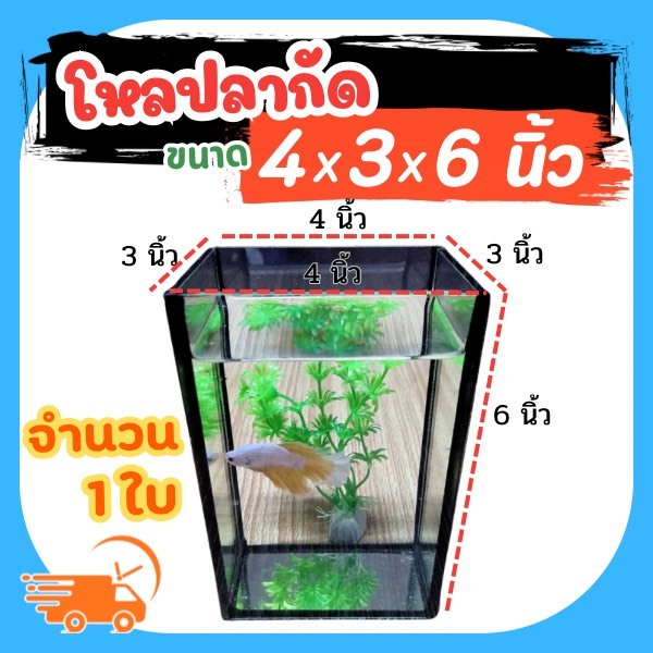 โหลปลากัด เกรดA หนา3มิลมีขนาด 4x3x6นิ้ว (กระจกใส) ตู้ปลาขนาดเล็ก โหลใส่ปลากัด (1ใบ)
