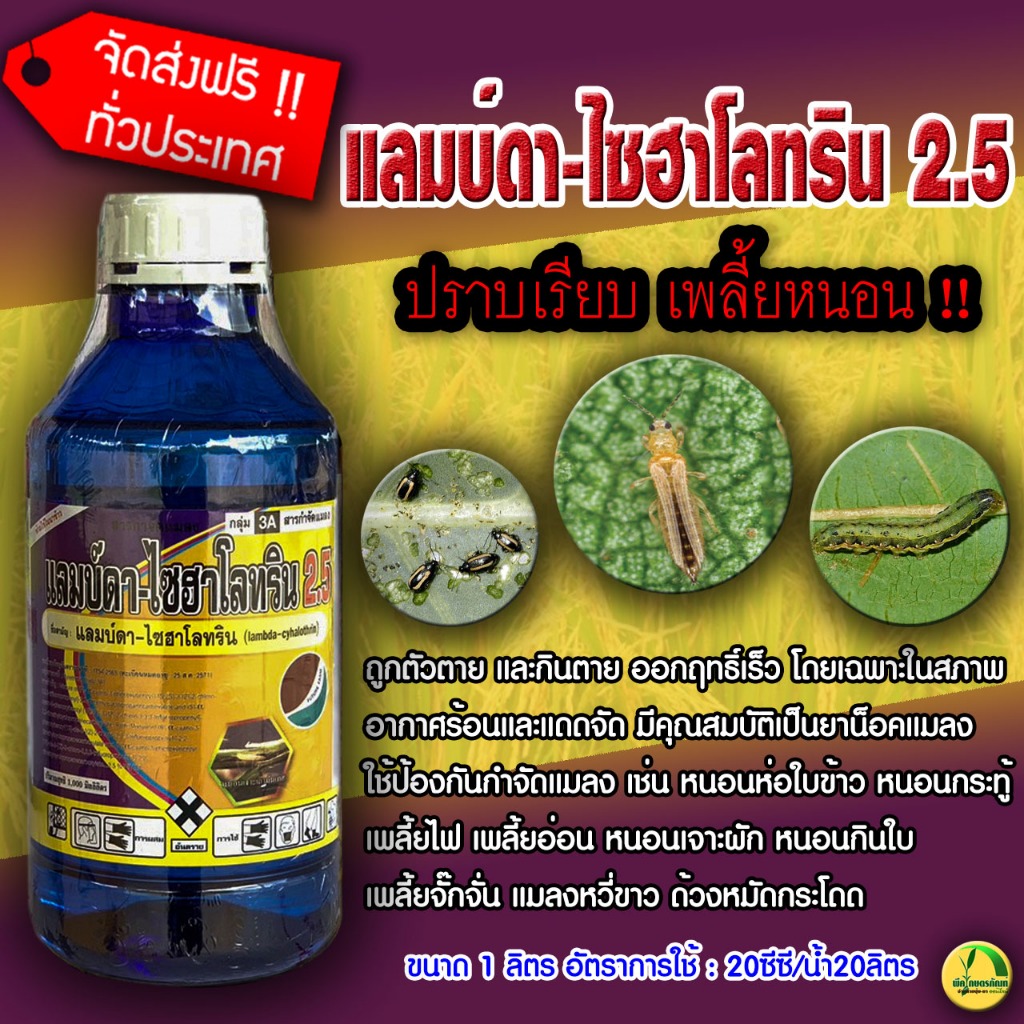 แลมบ์ดา-ไซฮาโลทริน 2.5 FT แลมบ์ดา-ไซฮาโลทริน (Lambda-cyhalothrin) 2.5 % W/V EC (ขนาด 1 ลิตร)